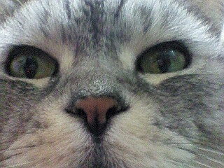 カナン